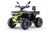 Dětská čtyřtaktní čtyřkolka ATV MiniRocket Troodon Deluxe 125ccm, 3+1,8 kola, černo-zelená Dětská čtyřtaktní čtyřkolka ATV MiniRocket Troodon Deluxe 125ccm, 3+1,8 kola, černo-zelená