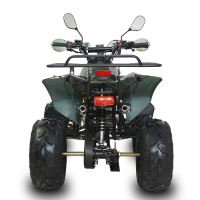 Dětská čtyřtaktní čtyřkolka ATV Warrior125ccm, 1 rych. poloautomat, 8 kola, zelená maskáč (3)