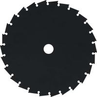 TO-79561_1.jpg (1)