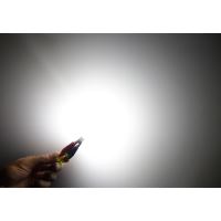 95AC001 LED T10 bílá, 12V, 13LED SMD (1230574)